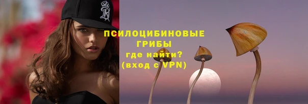 а пвп мука Горно-Алтайск