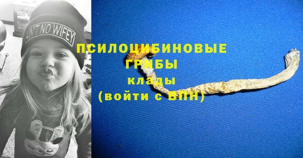 бутират Вяземский