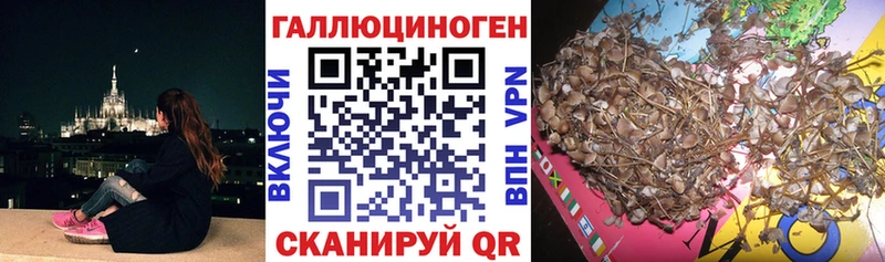 Галлюциногенные грибы мухоморы  Джанкой 